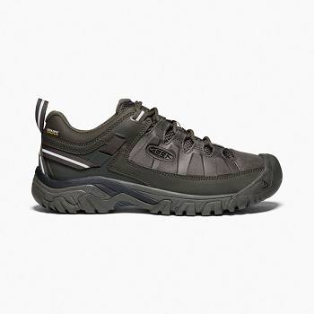 KEEN Férfi Targhee EXP Waterproof Túracipő Olivazöld